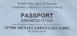 Menai Candyfloss afstamming
